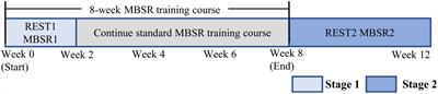 EEG-based investigation of effects of mindfulness meditation training on state and trait by deep learning and traditional machine learning
